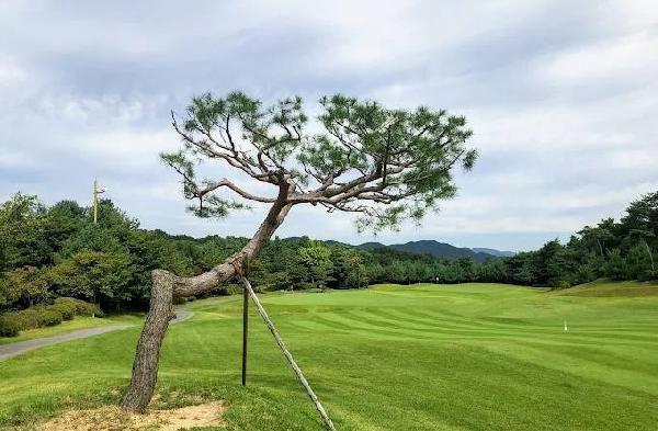 天鹅座乡村俱乐部 - 阳江保利银滩高尔夫套票-海滨高尔夫旅游1球1晚套餐