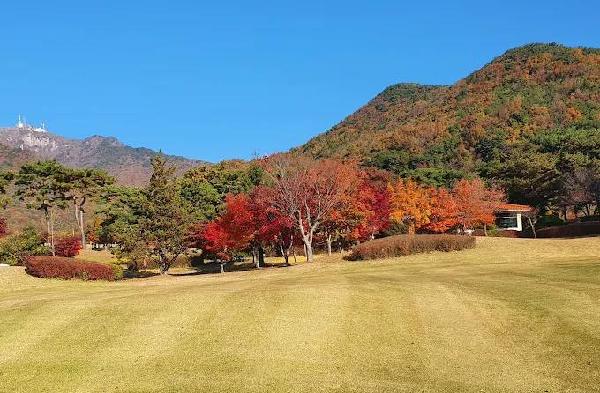 九龙乡村俱乐部 - 星际高球联盟-中国精英人士高尔夫旅游度假实景