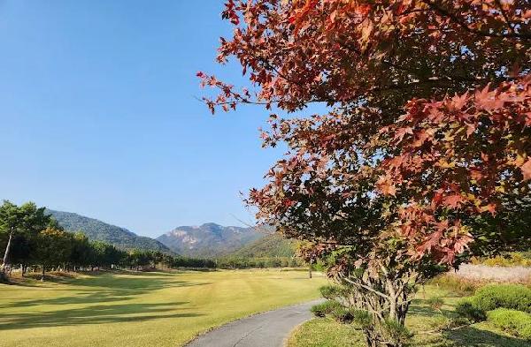 九龙乡村俱乐部 - 深圳观澜湖高尔夫订场服务-广东专业高尔夫预订平台
