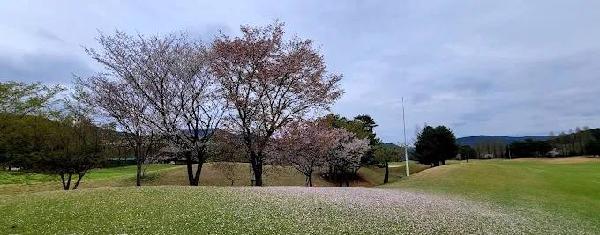 九龙乡村俱乐部 - 全国335座高尔夫球场实时预订-高球爱好者一站式订场平台