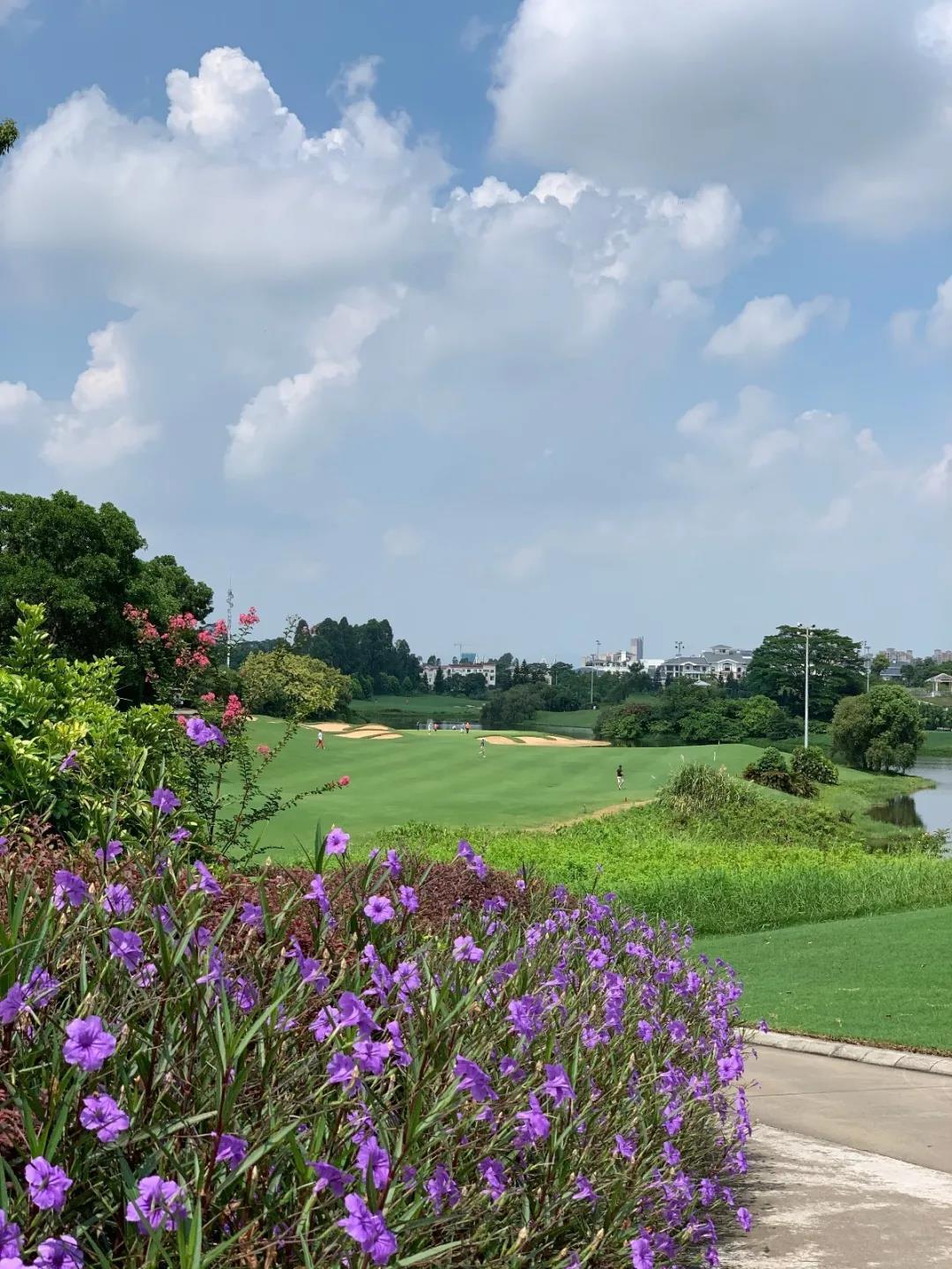 清远碧桂园假日半岛高尔夫球会 - 全国335座高尔夫球场实时预订-高球爱好者一站式订场平台