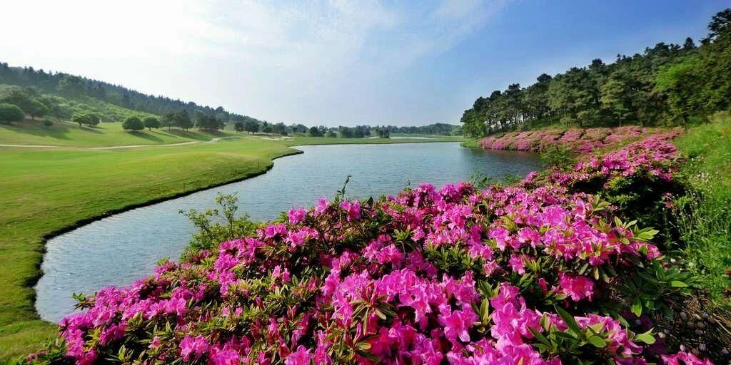 南京银杏湖高尔夫球会 - 海口观澜湖高尔夫球场预订-海南高尔夫旅游攻略推荐