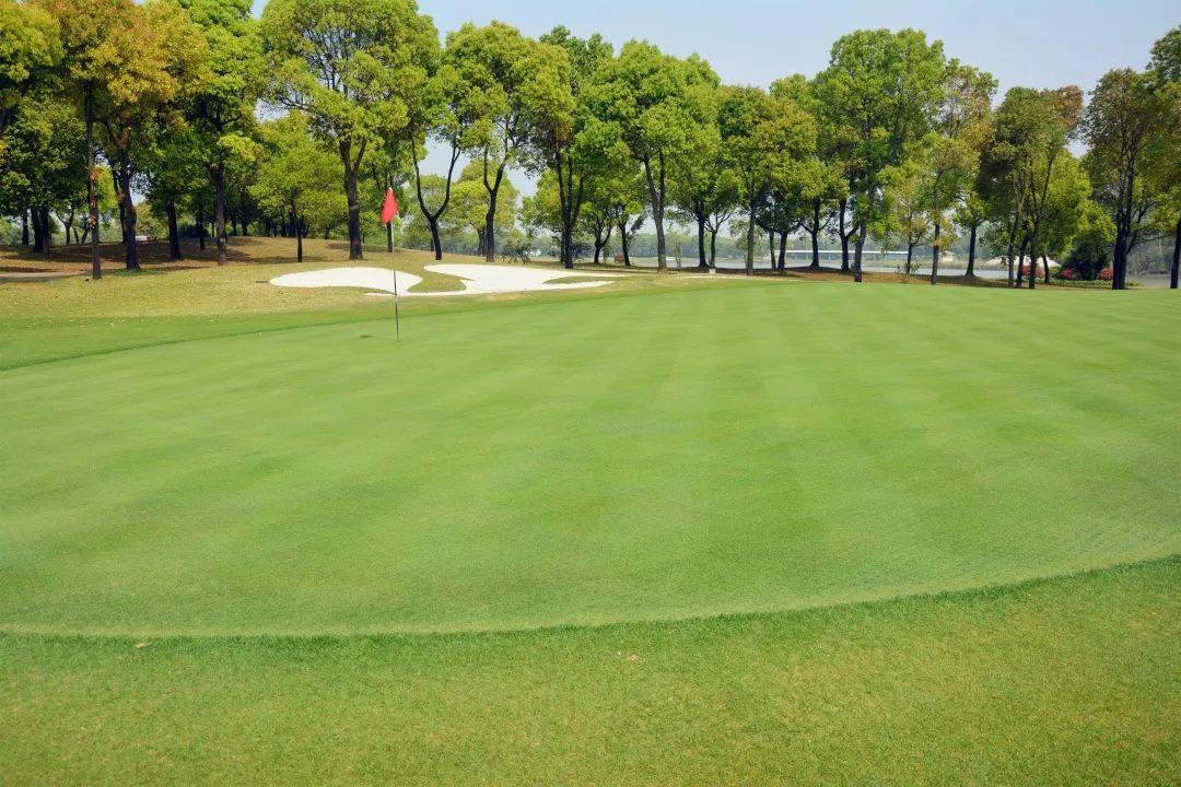 苏州张家港双山高尔夫球会 - 全国335座高尔夫球场实时预订-高球爱好者一站式订场平台