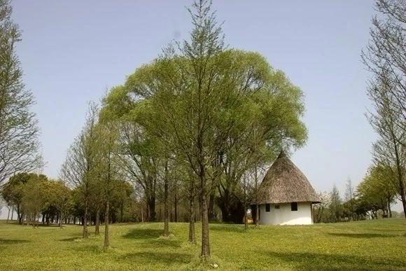 上海光明高尔夫球会 - 全国335座高尔夫球场实时预订-高球爱好者一站式订场平台