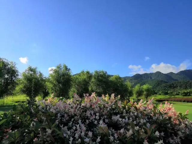 宁波东方高尔夫球会 - 全国335座高尔夫球场实时预订-高球爱好者一站式订场平台