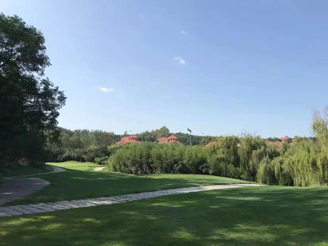 烟台南山国际高尔夫球会 - 全国335座高尔夫球场实时预订-高球爱好者一站式订场平台
