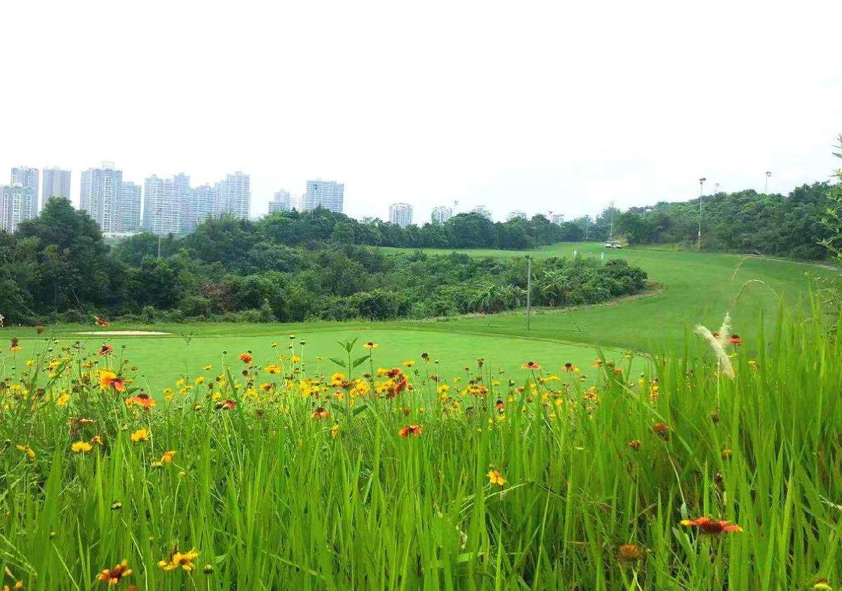 重庆远洋高尔夫球会 - 全国335座高尔夫球场实时预订-高球爱好者一站式订场平台