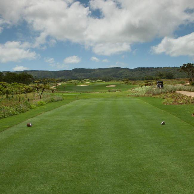 非洲毛里求斯阿瓦隆高尔夫俱乐部 Avalon Golf Estate Golf Course - 星际高球联盟-中国精英人士高尔夫旅游度假实景