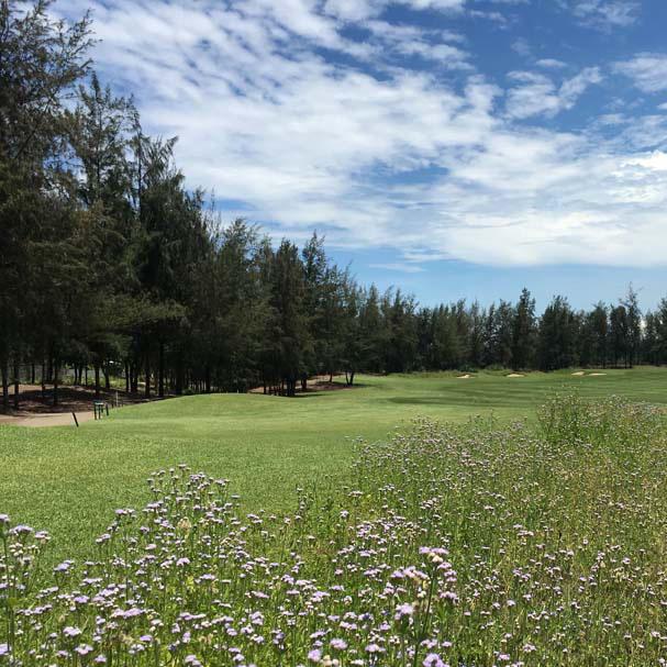岘港蒙哥马利林克斯高尔夫俱乐部 - 全国335座高尔夫球场实时预订-高球爱好者一站式订场平台
