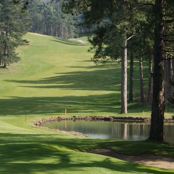 法国阿尔德洛高尔夫球场 Golf d'Hardelot（Les Pines) - 全国335座高尔夫球场实时预订-高球爱好者一站式订场平台