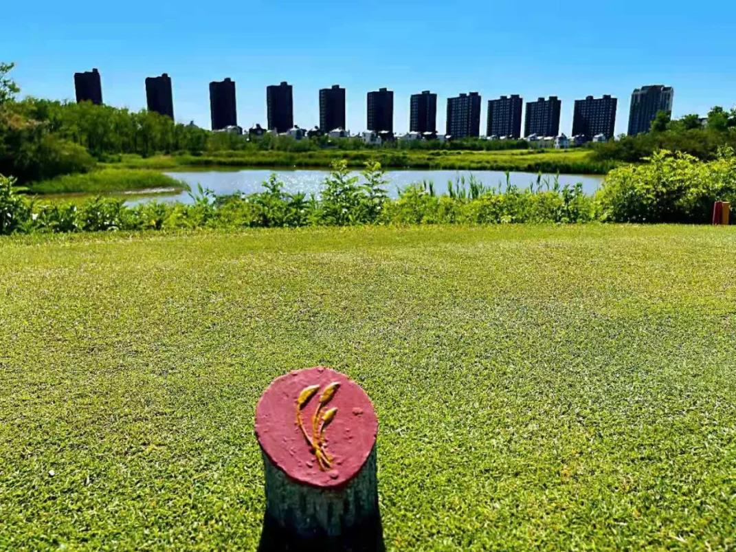 天津松江团泊湖高尔夫球会 - 全国335座高尔夫球场实时预订-高球爱好者一站式订场平台