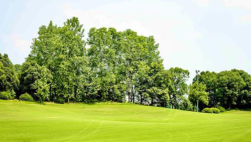 长沙星河湾（原长沙龙湖）高尔夫球会 - 全国335座高尔夫球场实时预订-高球爱好者一站式订场平台