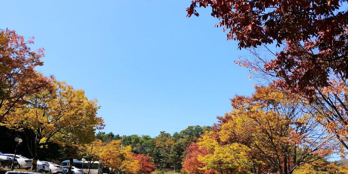 天安宇正山高尔夫球会 - 全国335座高尔夫球场实时预订-高球爱好者一站式订场平台