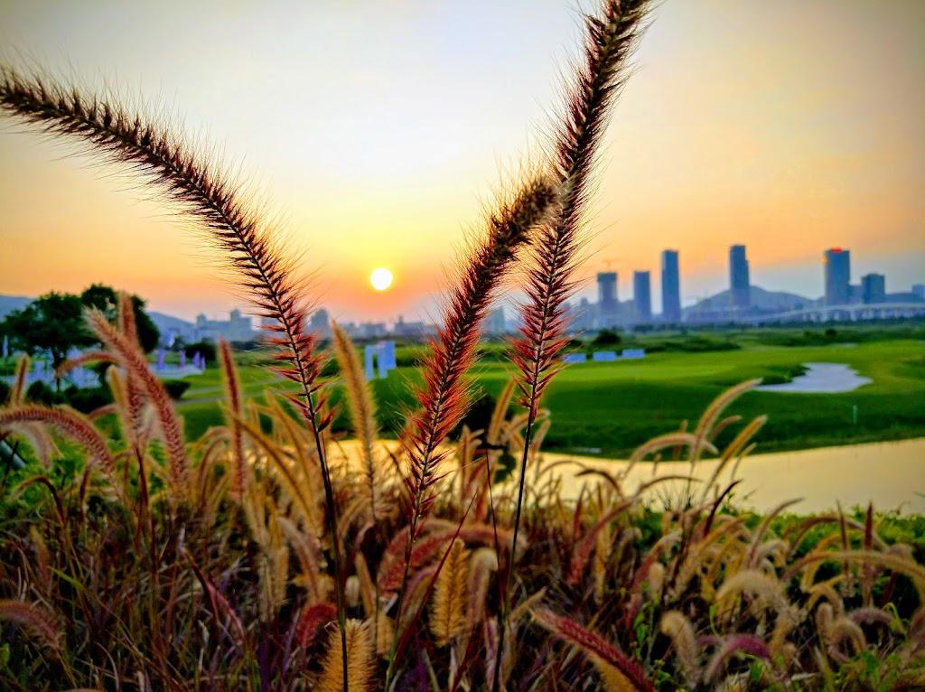澳门国际(原凯撒)高尔夫球会 - undefined