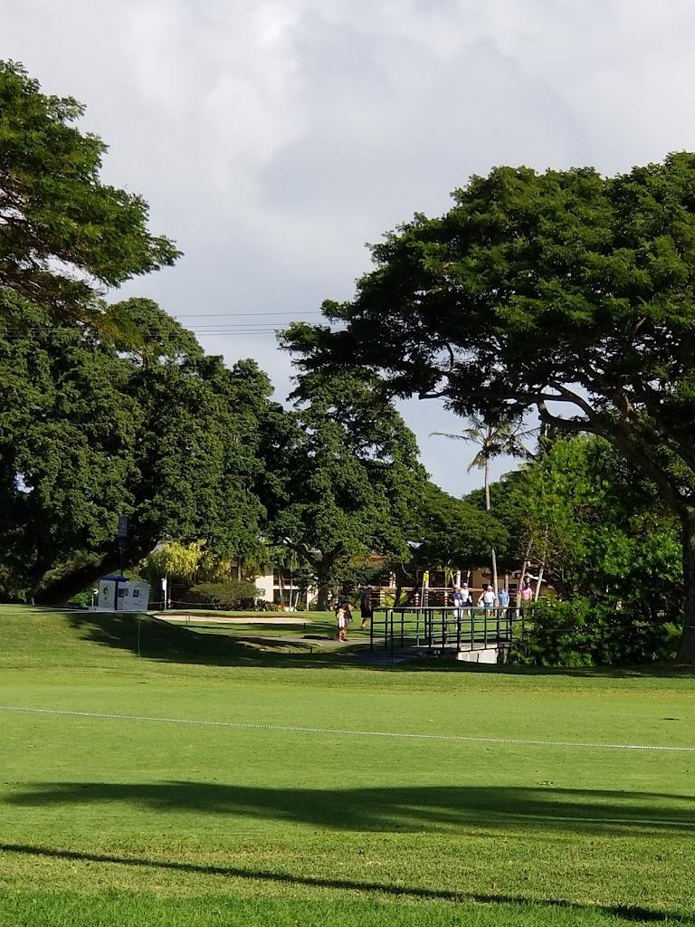 夏威夷维艾勒伊·2球2晚 - 星际高球联盟-中国精英人士高尔夫旅游度假实景