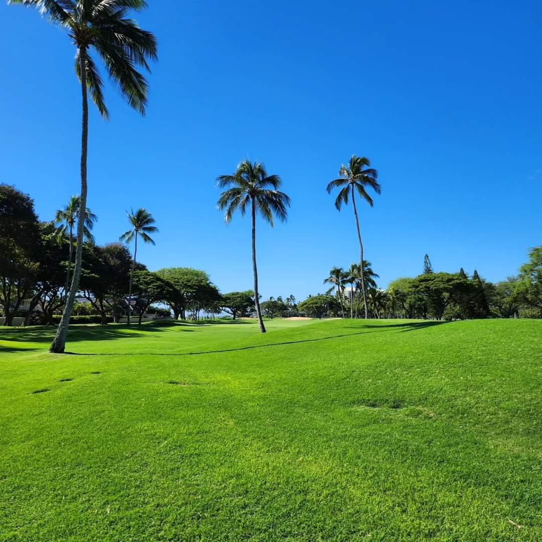 夏威夷维艾勒伊·2球2晚 - 深圳观澜湖高尔夫订场服务-广东专业高尔夫预订平台