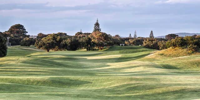 Albany Golf Club - 全国335座高尔夫球场实时预订-高球爱好者一站式订场平台