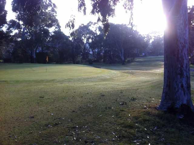The Vines Golf Club of Reynella - 高尔夫1球1晚特惠套票-星际高球联盟精选旅游套餐