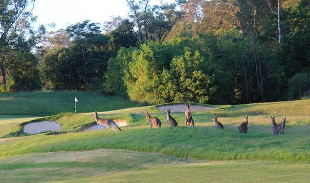 Riverside Oaks - Gangurru Course - 高尔夫1球1晚特惠套票-星际高球联盟精选旅游套餐