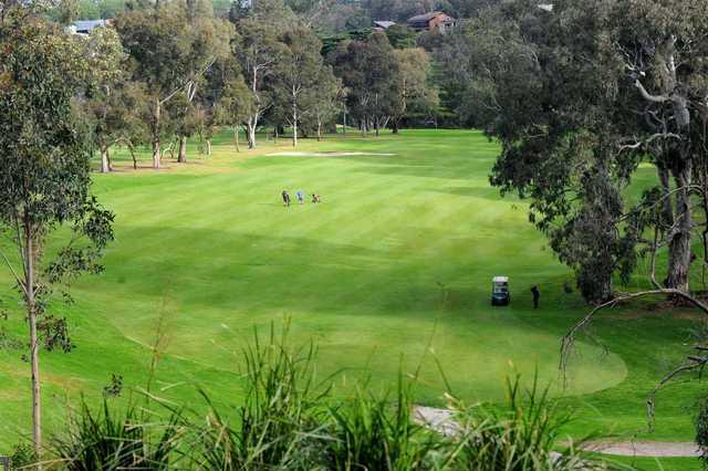 Yarra Bend Golf Club - 星际高球联盟-中国精英人士高尔夫旅游度假实景