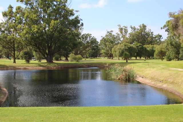 Pinjarra Golf Club - 星际高球联盟-中国精英人士高尔夫旅游度假实景