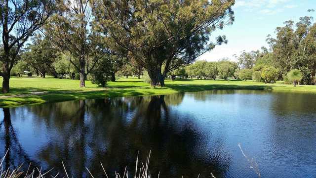 Pinjarra Golf Club - 全国335座高尔夫球场实时预订-高球爱好者一站式订场平台