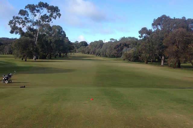 The Vines Golf Club of Reynella - 海口观澜湖高尔夫球场预订-海南高尔夫旅游攻略推荐