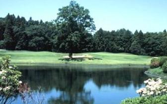 市原京急高尔夫球会 - 星际高球联盟-中国精英人士高尔夫旅游度假实景