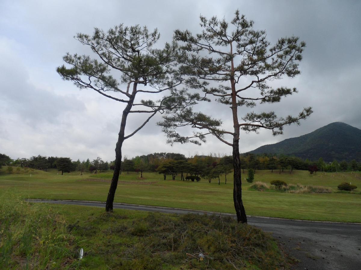 LPGA釜山亚运会高尔夫球会 - 深圳观澜湖高尔夫订场服务-广东专业高尔夫预订平台