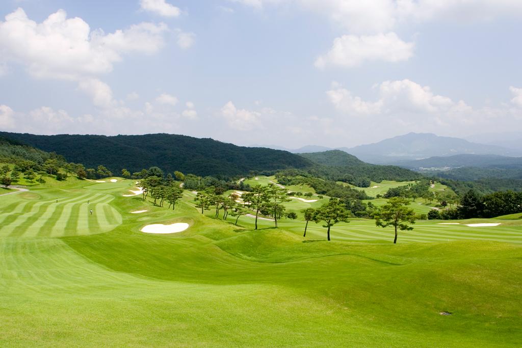 抱川阿多尼斯高尔夫球会 - 高尔夫1球1晚特惠套票-星际高球联盟精选旅游套餐