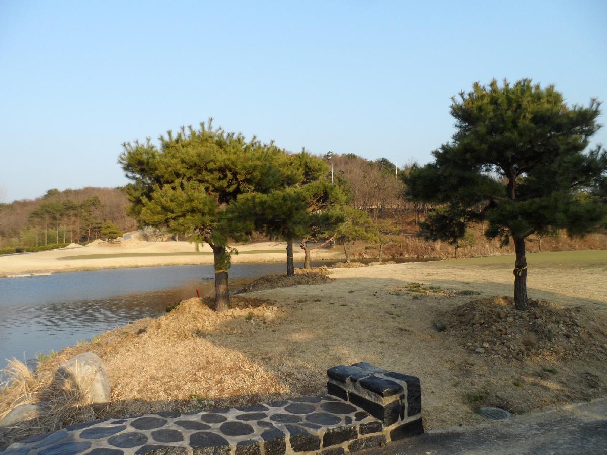 LPGA釜山亚运会高尔夫球会 - 全国335座高尔夫球场实时预订-高球爱好者一站式订场平台