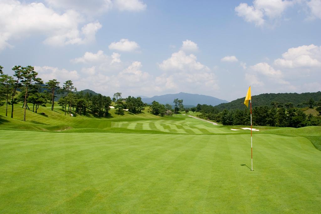 抱川阿多尼斯高尔夫球会 - 阳江保利银滩高尔夫套票-海滨高尔夫旅游1球1晚套餐