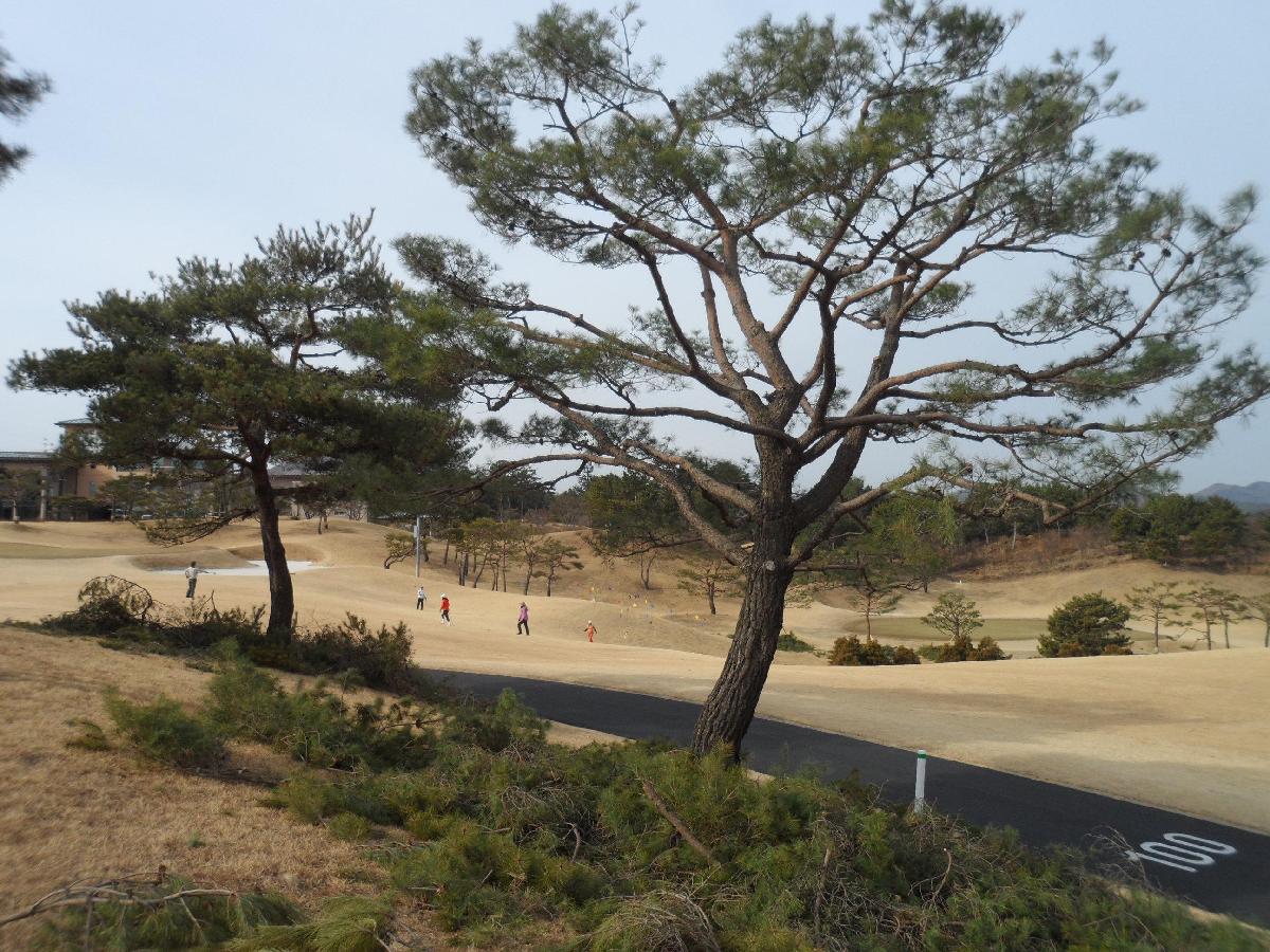 LPGA釜山亚运会高尔夫球会 - 高尔夫1球1晚特惠套票-星际高球联盟精选旅游套餐